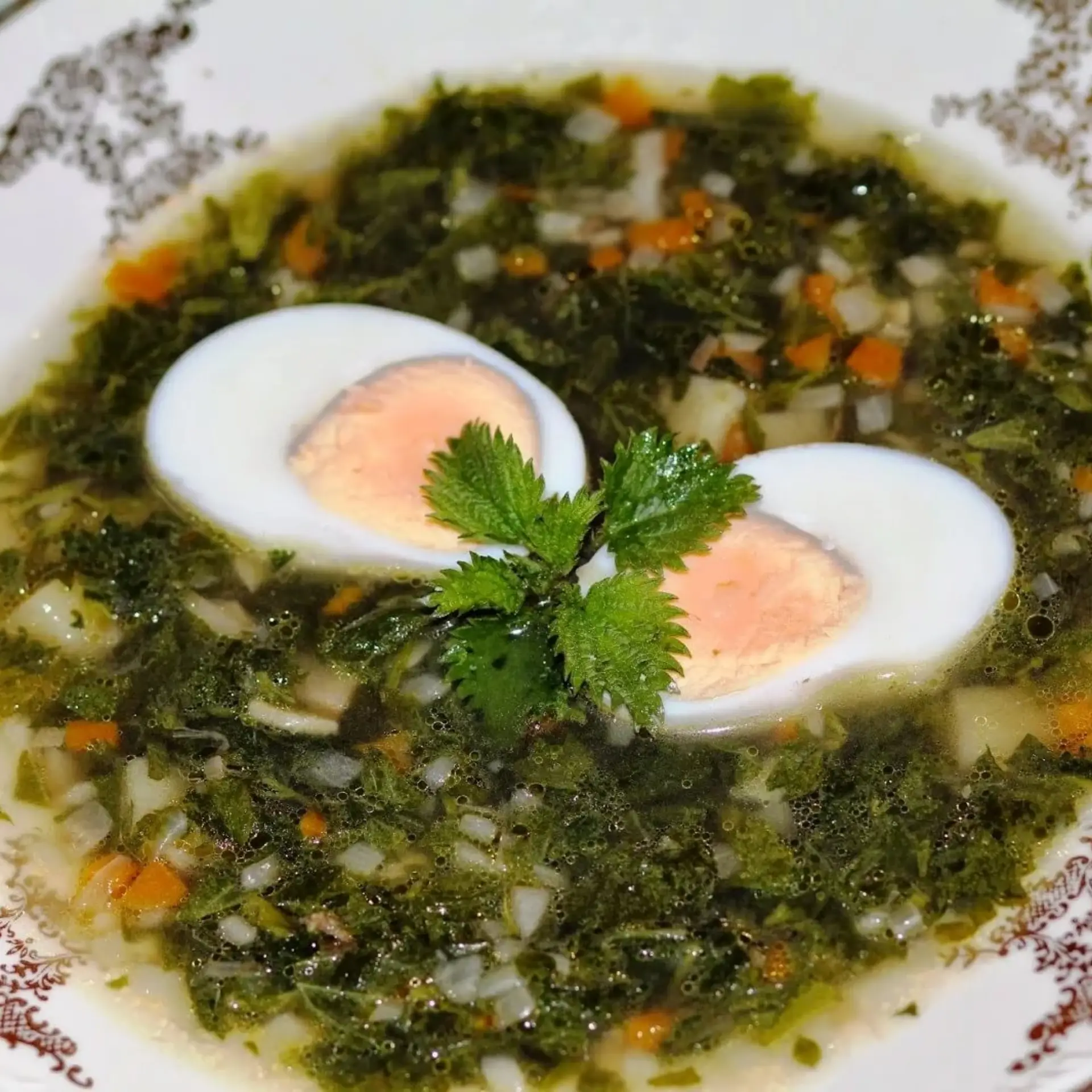 Суп из крапивы с яйцом и картофелем. Крапивный суп. Щавелевый суп с клецками. Крапивный суп с яйцом. Рассольник с крапивой.